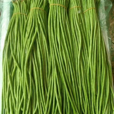 精品长豆角，新鲜现摘，货源充足大量供应，支持全国发货