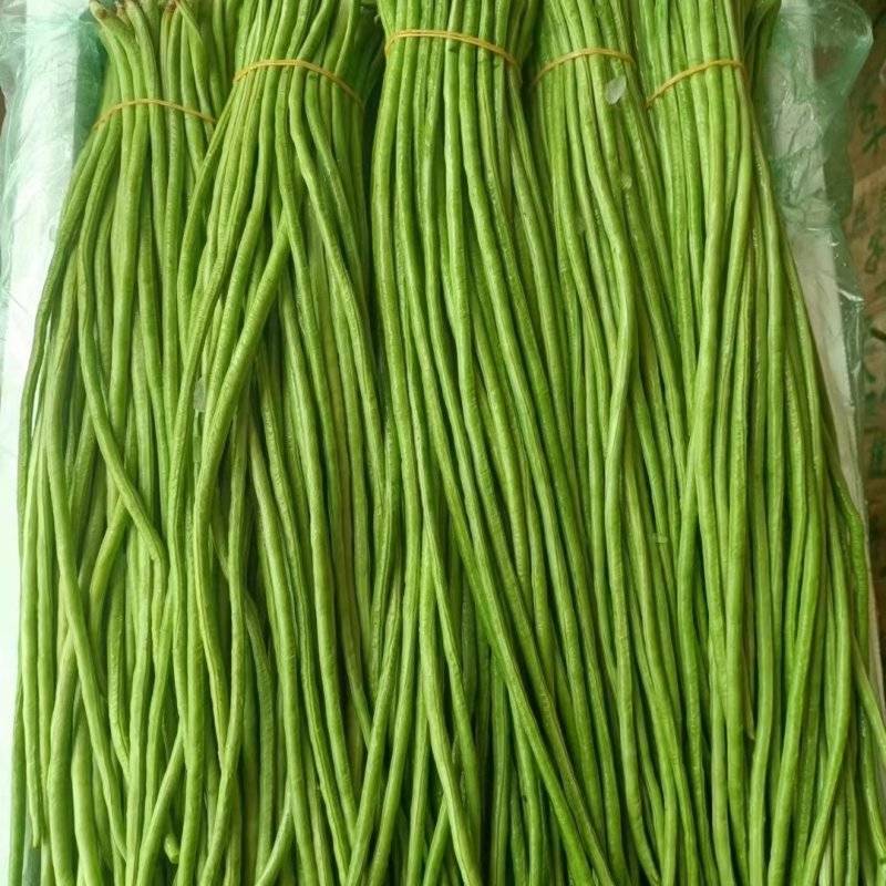 精品长豆角，新鲜现摘，货源充足大量供应，支持全国发货