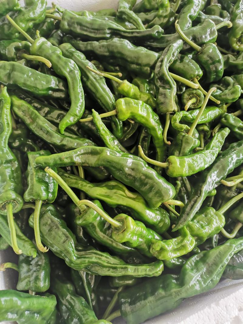 驺皮椒