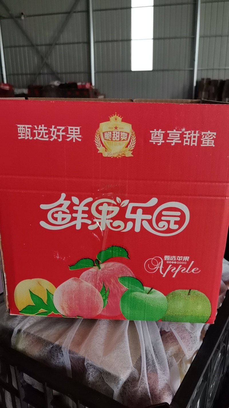 山西省运城市夏县板粟薯秦五一支香白心红薯甘面香甜现挖现发