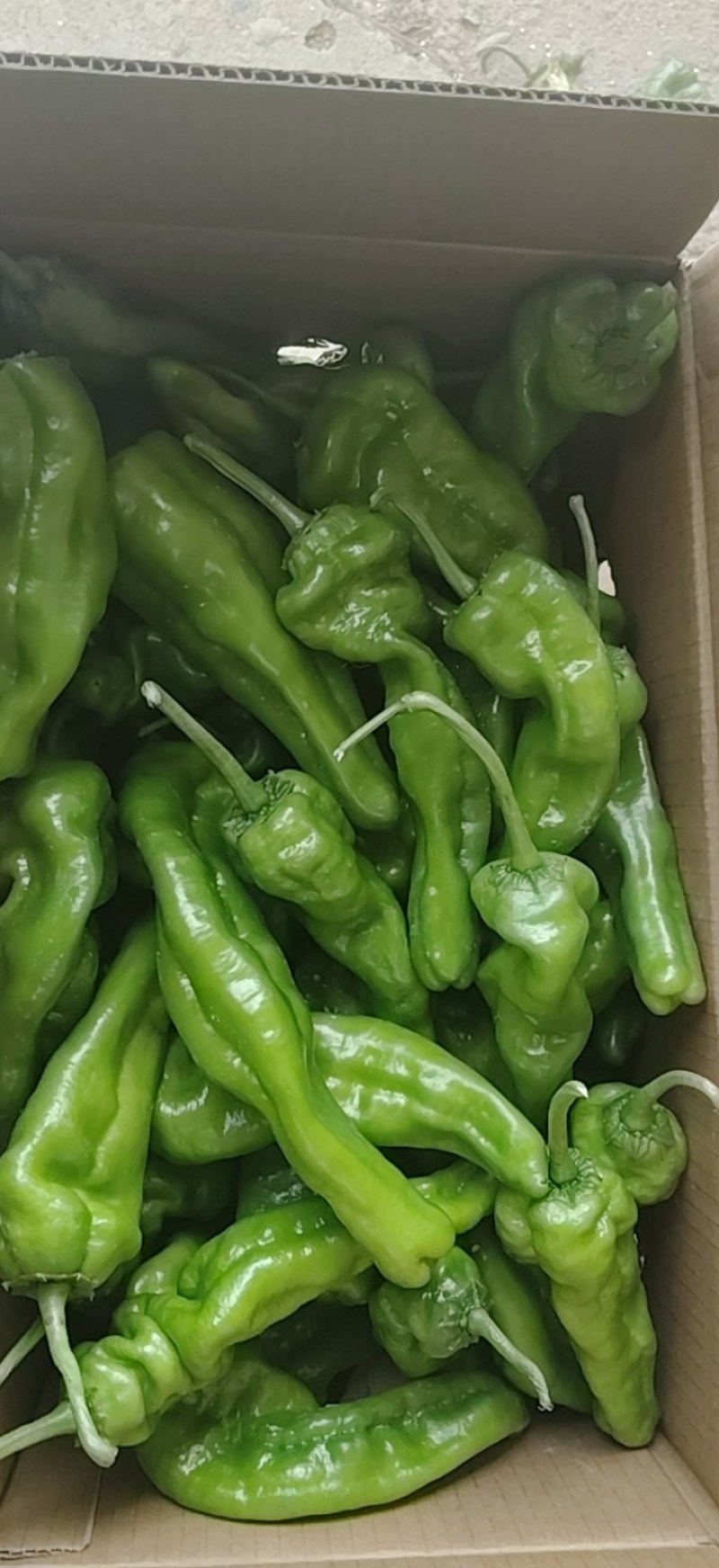 大角