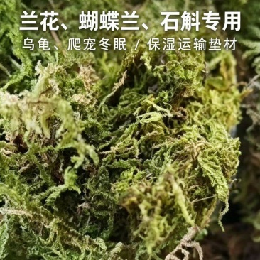 青苔藓干货养花育苗保湿保温推选常年批发零售供货