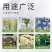 青苔藓干货养花育苗保湿保温推选常年批发零售供货