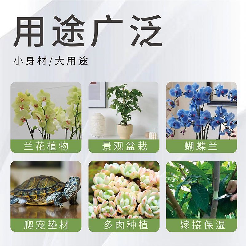 青苔藓干货养花育苗保湿保温推选常年批发零售供货