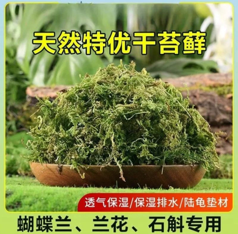 青苔藓干货养花育苗保湿保温推选常年批发零售供货