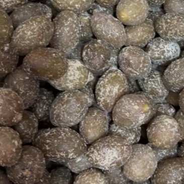 甘草橄榄厂家直销