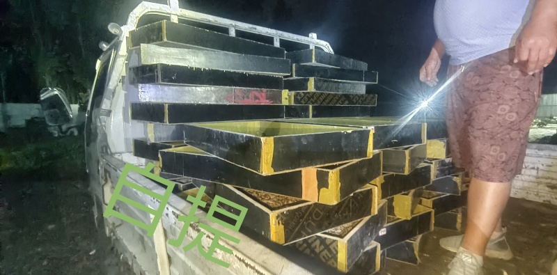 大麦虫5公分以上