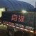 大麦虫5公分以上