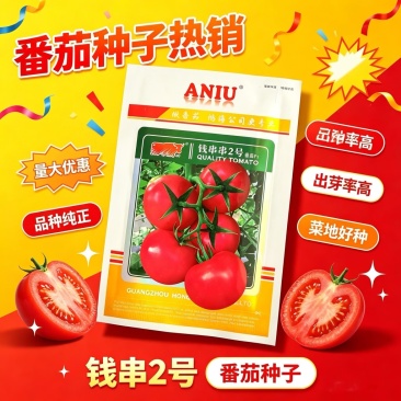 钱串串2号粉果番茄种子无限生长粉果西红柿种籽抗病货架期长