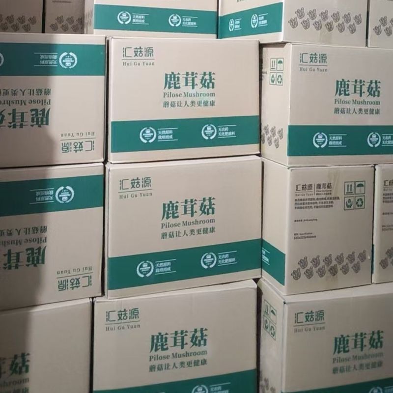鹿茸菇工厂产地直销各种规格定制，物美价廉。