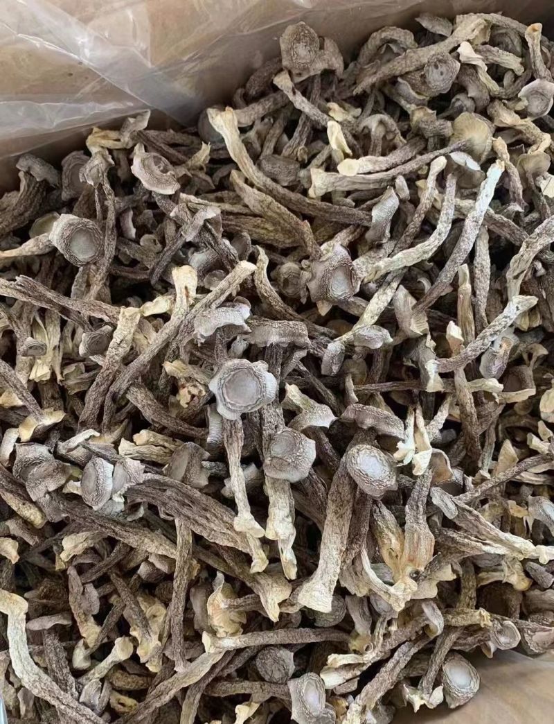 鹿茸菇工厂产地直销各种规格定制，物美价廉。