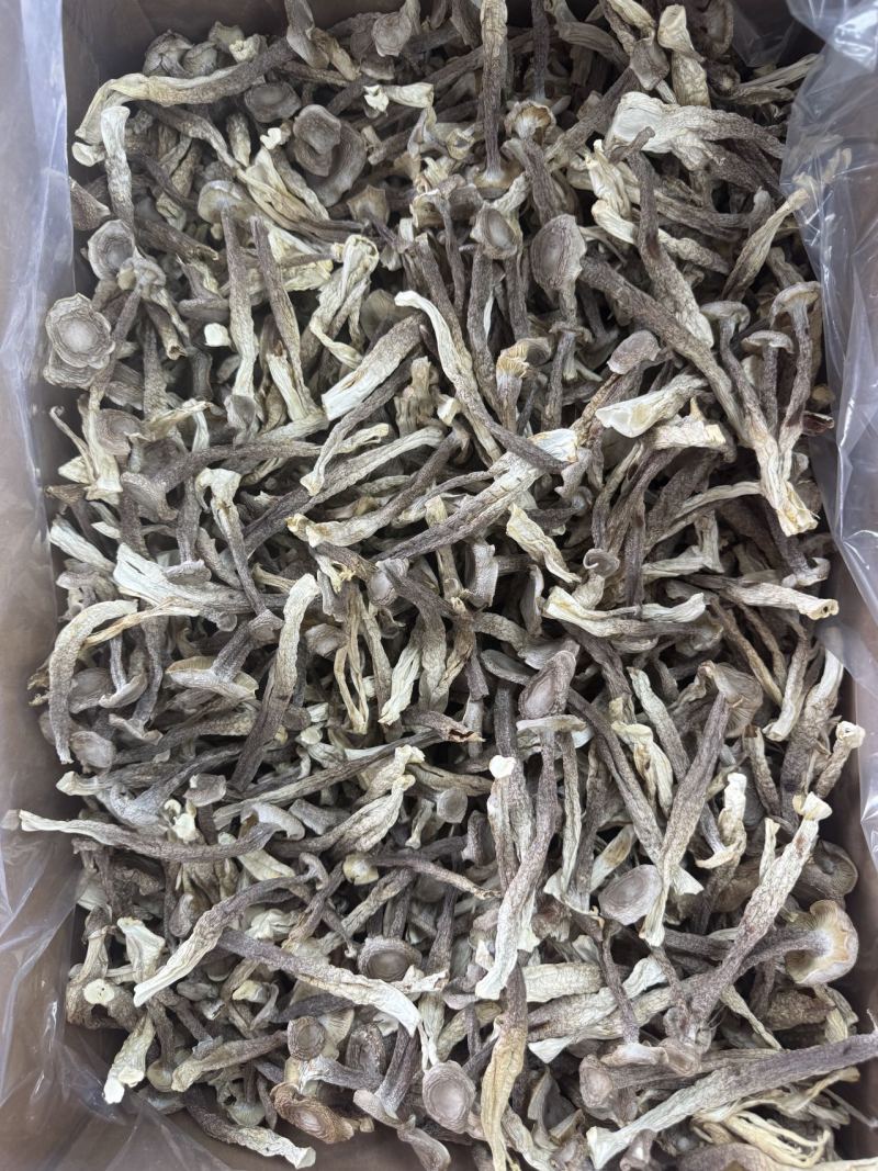 鹿茸菇工厂产地直销各种规格定制，物美价廉。