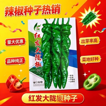红发大陇椒种子早熟皮薄厚肉顺直大螺丝椒种子耐低温抗高温辣