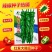 红发大陇椒种子早熟皮薄厚肉顺直大螺丝椒种子耐低温抗高温辣