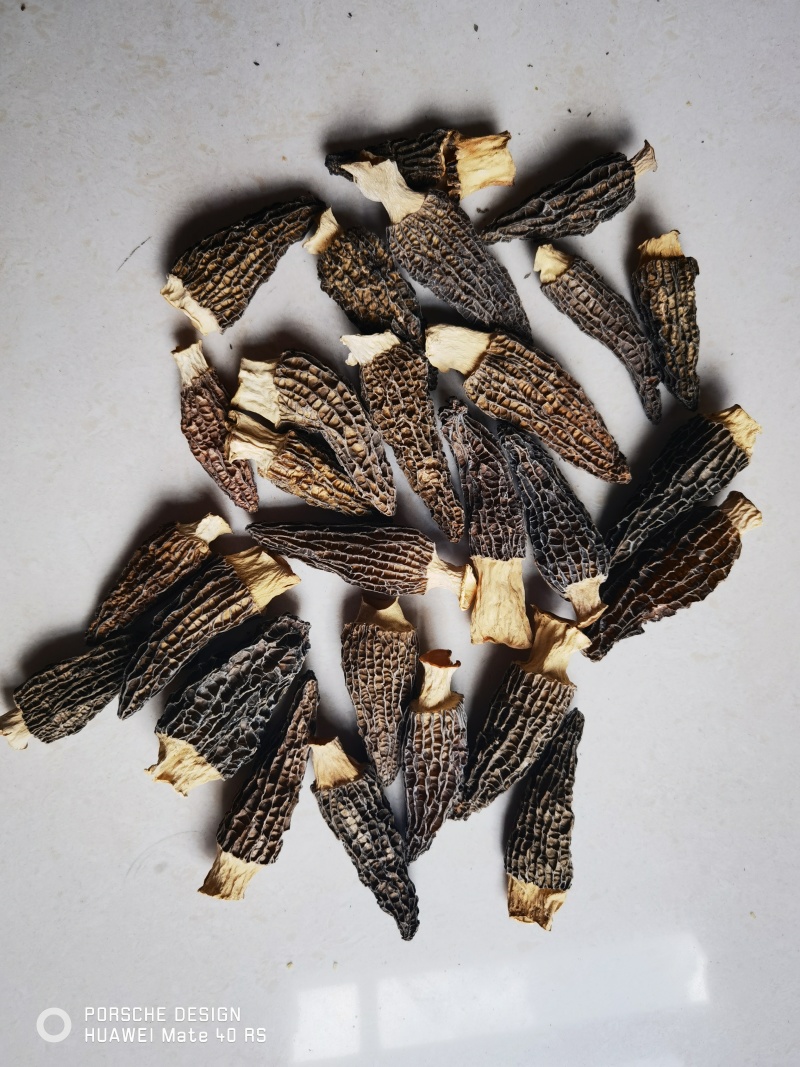 羊肚菌干货