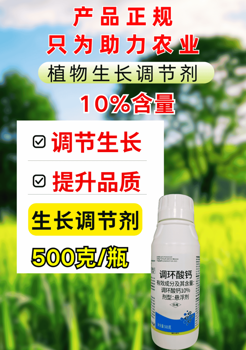 10%调环酸钙控旺不控花果正品农用调节生长