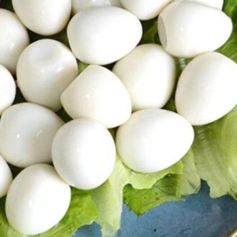 妈妈抱鹌鹑蛋