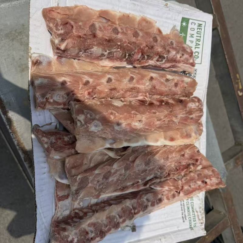 猪背骨