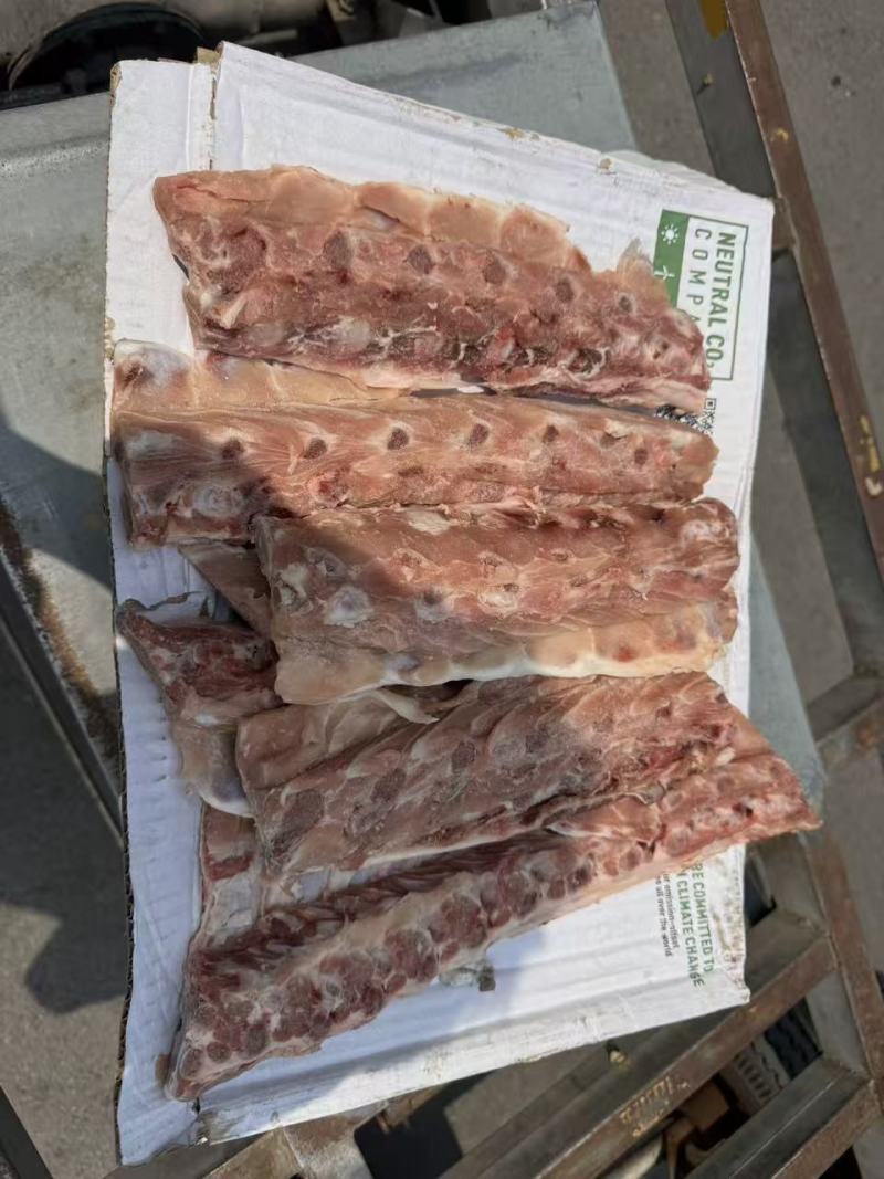 猪背骨