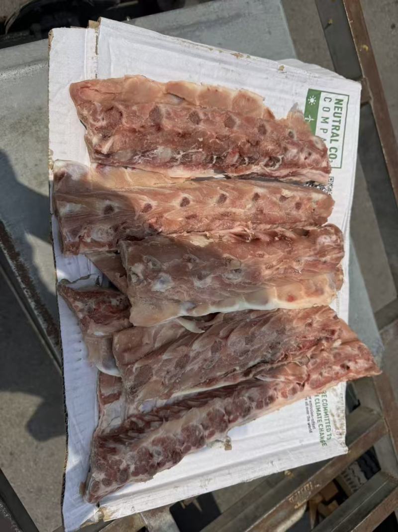 猪背骨