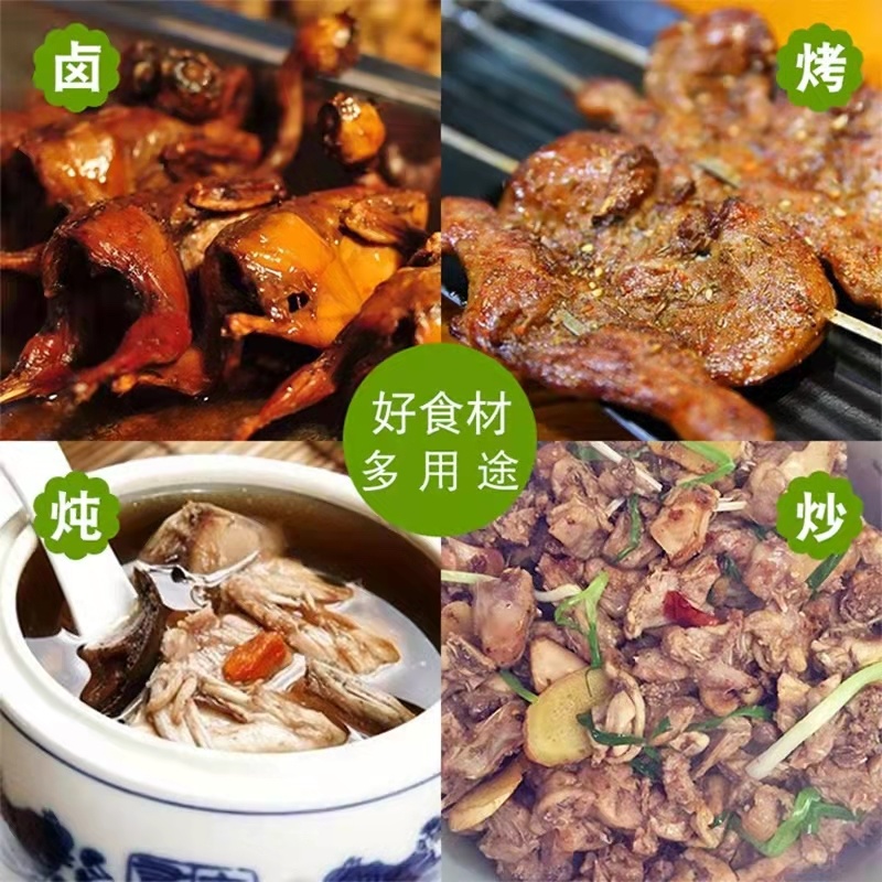 芦丁鸡肉芦丁鸡白条养殖基地直发源头养殖厂家