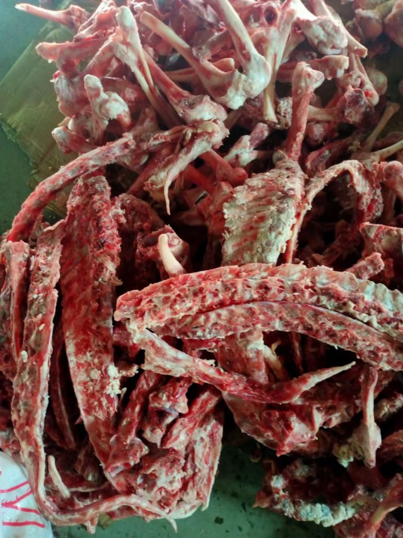 羊骨头