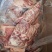 澳盛源纯干羔羊排肉，不带羊腩，单片纯干排肉，一件40斤