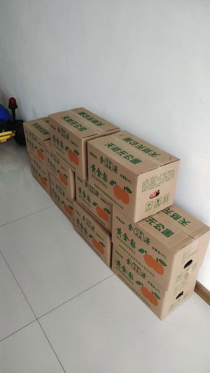 西平县百亩黄金梨种植基地