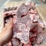 内蒙满肉羊蝎子