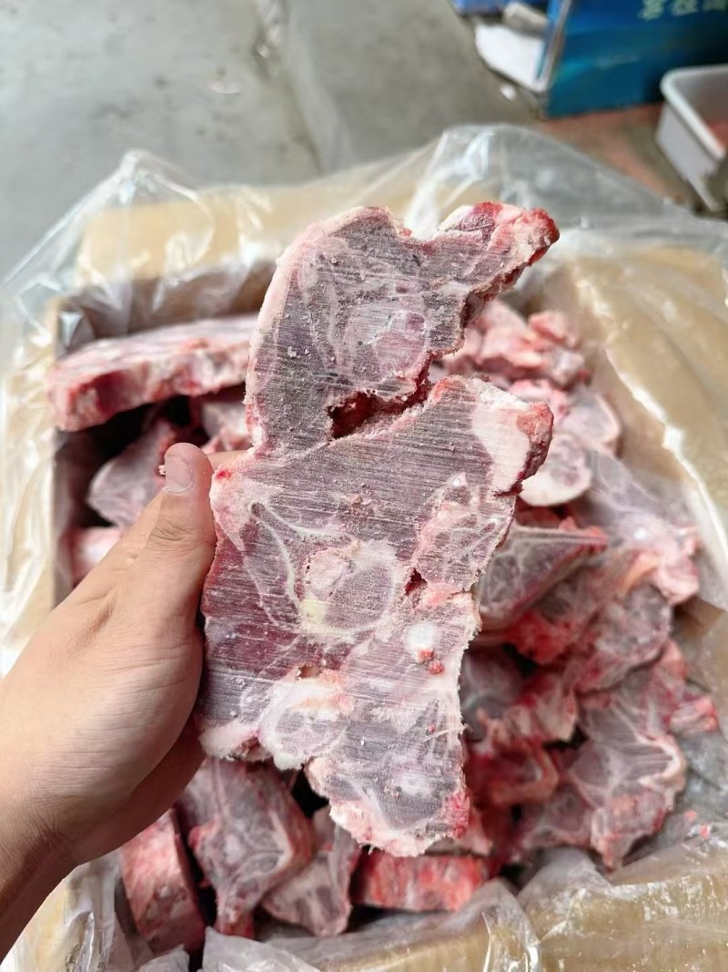 内蒙满肉羊蝎子