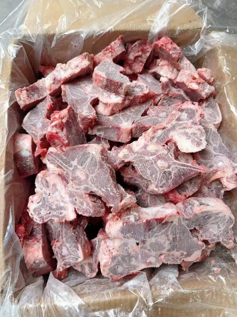 内蒙满肉羊蝎子