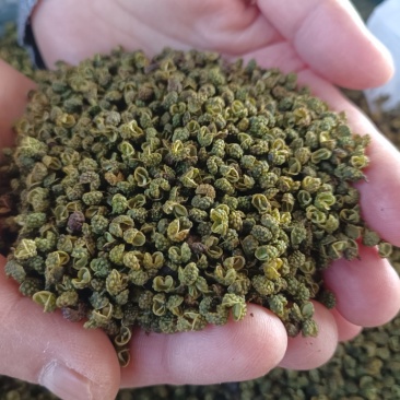 精品花椒货源充足质量保证一手货源诚信经营欢迎咨询