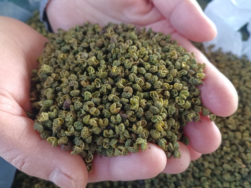 精品花椒货源充足质量保证一手货源诚信经营欢迎咨询