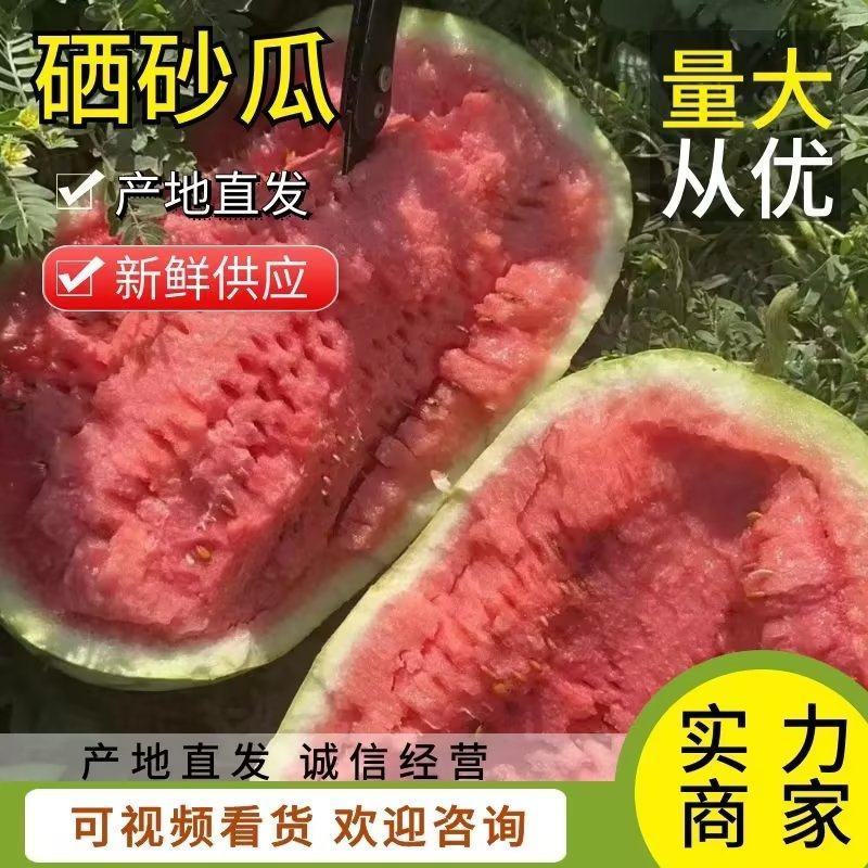 【精品】石头瓜，硒砂瓜质量可靠，专业维护客户权益