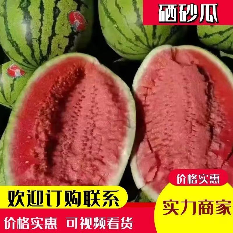 【正宗】石头瓜，硒砂瓜，质量完全可靠，专业维护客户权益