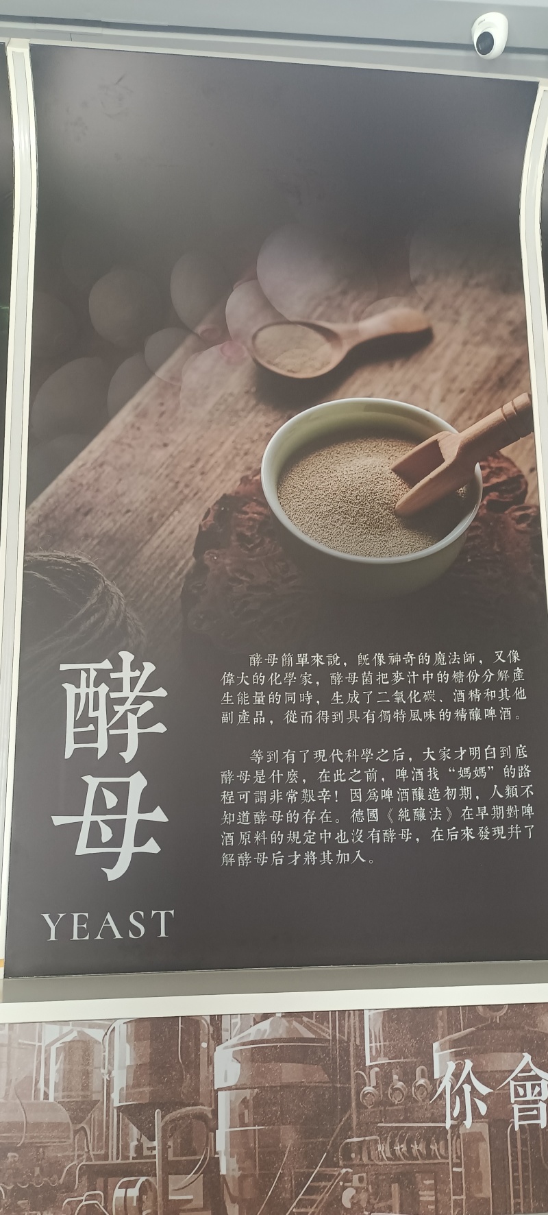 肽精酿啤酒28天低温发酵厂家直销全国招商批发