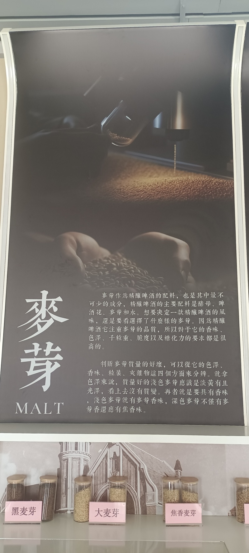 肽精酿啤酒28天低温发酵厂家直销全国招商批发