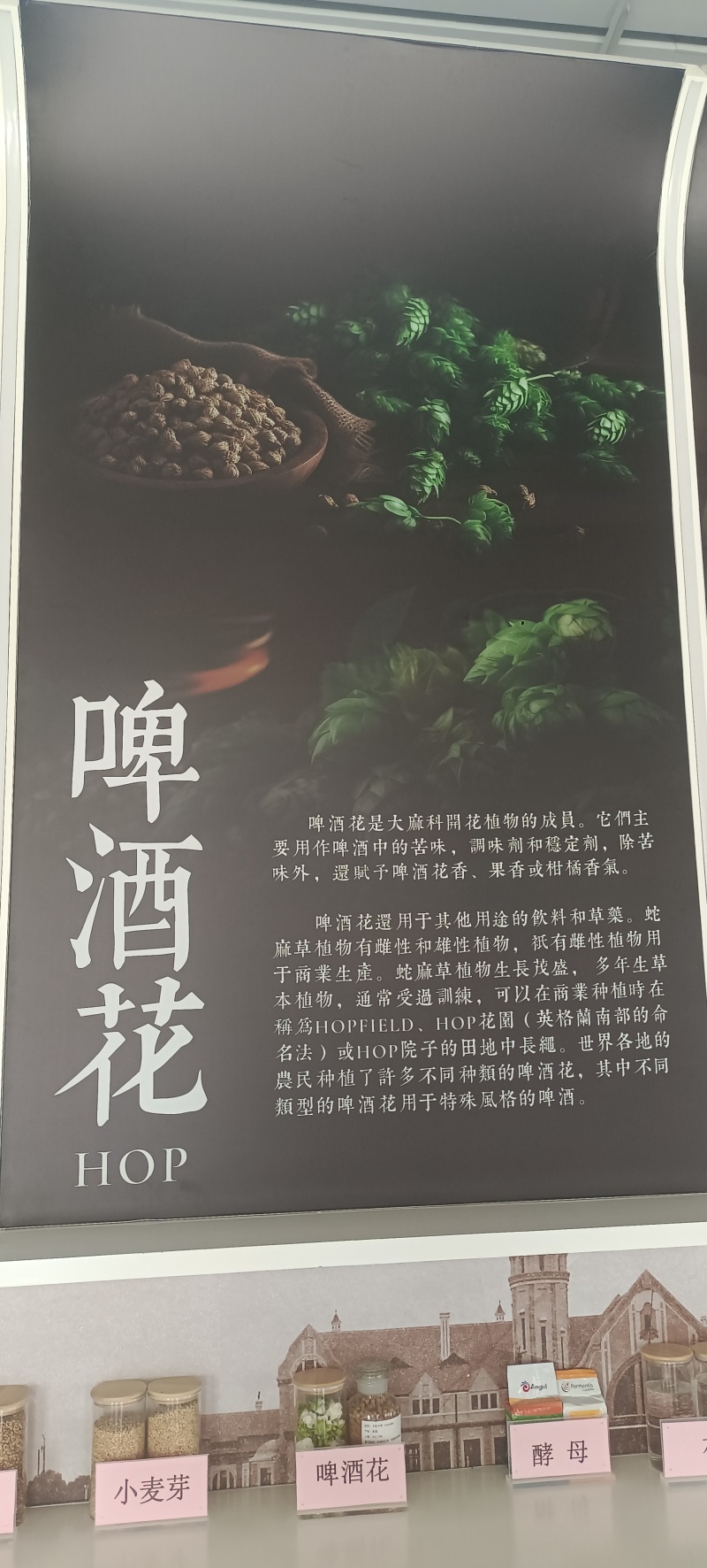 肽精酿啤酒28天低温发酵厂家直销全国招商批发