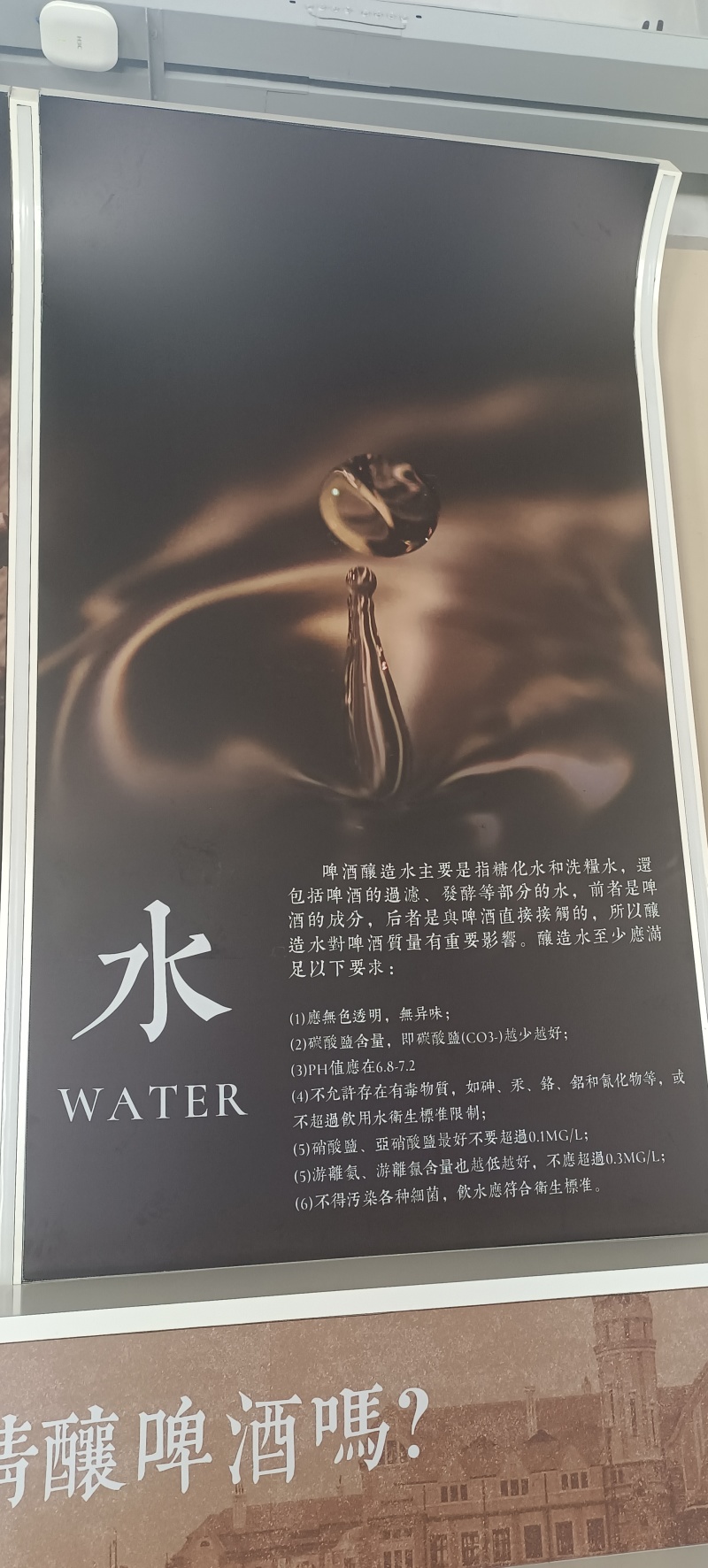 肽精酿啤酒28天低温发酵厂家直销全国招商批发