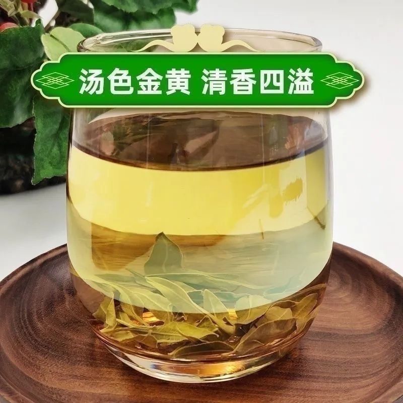 新疆罗布麻直发正宗罗布麻叶植物嫩叶头茬无硫老正品新疆罗布