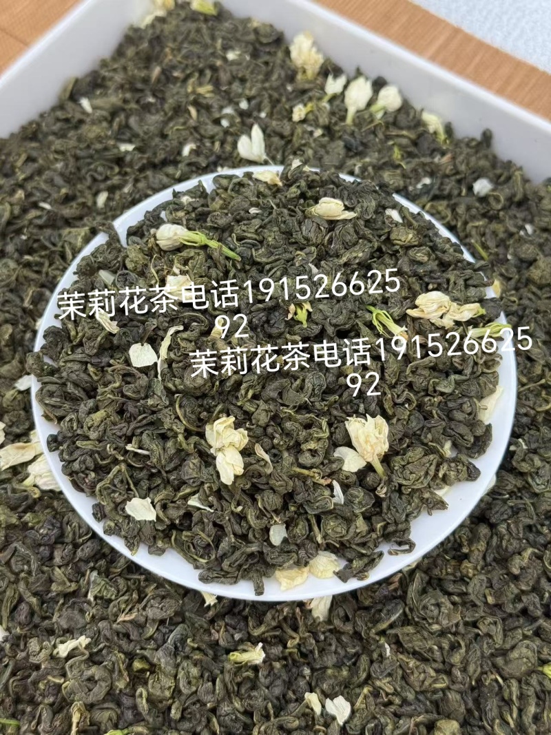 茉莉花茶春螺2窨一压
