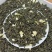 茉莉花茶春螺2窨一压