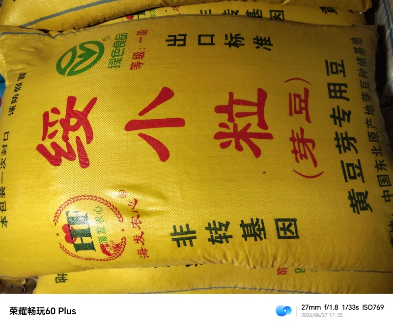 黄豆芽专用黄豆芽豆自产自销量大产地直发