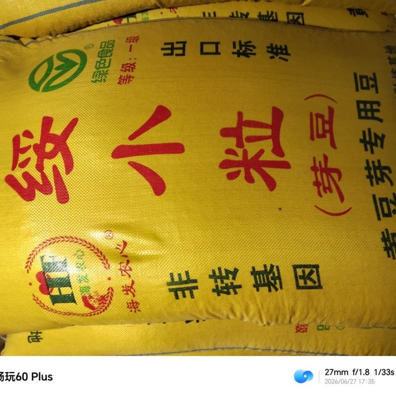 黄豆芽专用黄豆芽豆自产自销量大产地直发