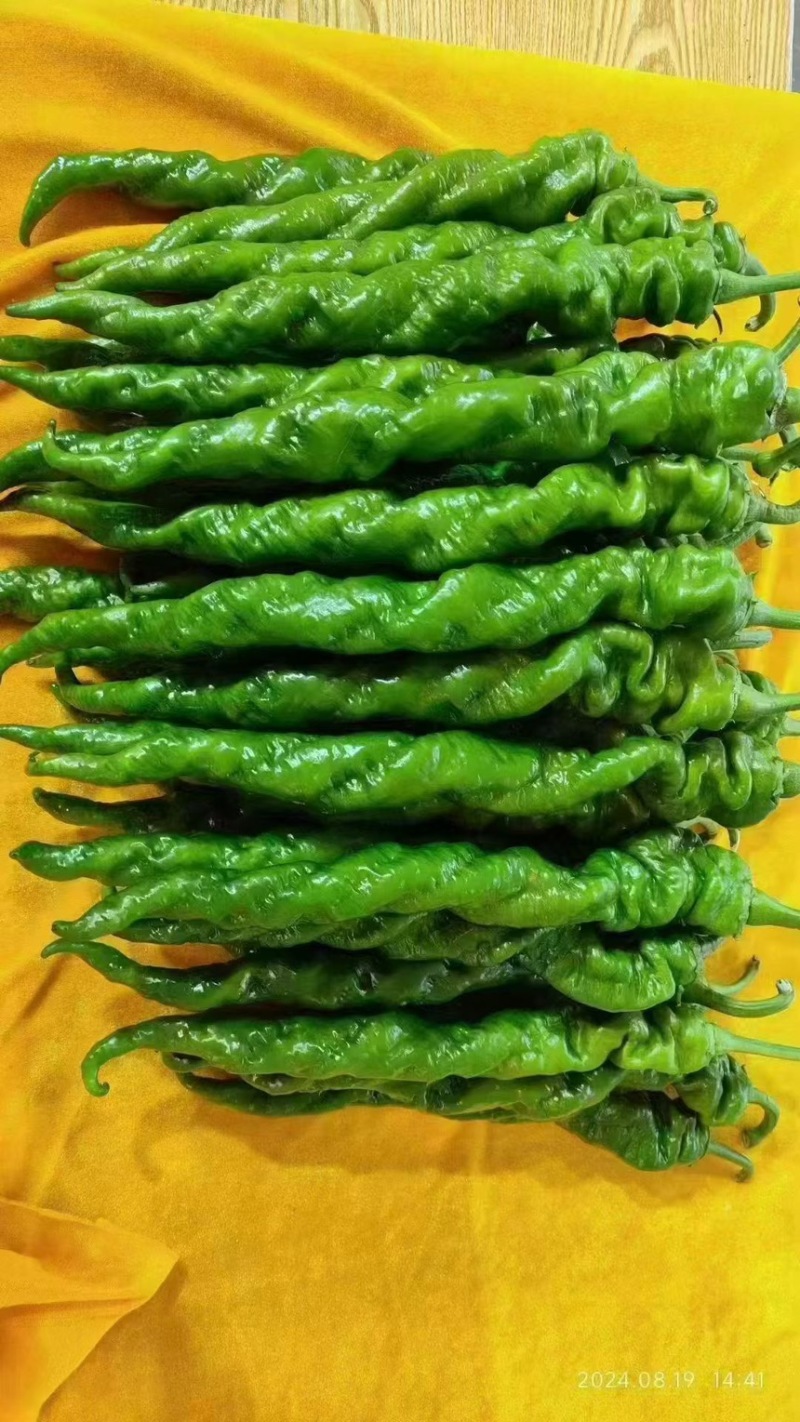 螺丝椒