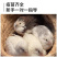 芦丁鸡养殖基地长期供应欢迎洽谈