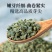 【仁和】精选新疆罗布麻120g头茬特级滋补中药材罐装