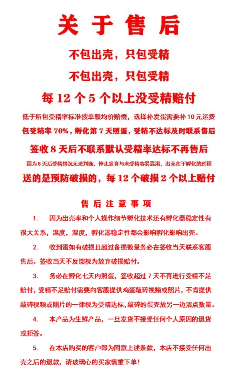 芦丁鸡受精蛋养殖基地直发批发长期供应