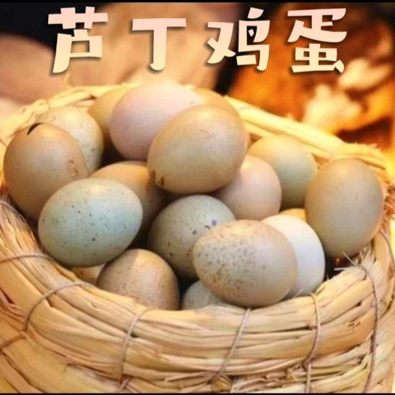 芦丁鸡蛋食用蛋礼盒装养殖基地直发长期供应批发
