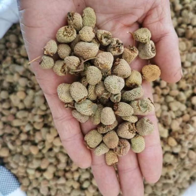 正宗覆盆子干果自然晾晒正品好物泡茶泡酒养生必备覆盆子一等